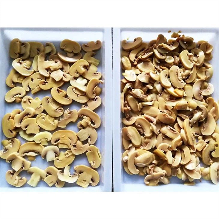 Sliced Champignon In Brine (2)