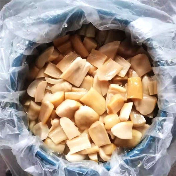 Строфария в Рассоле