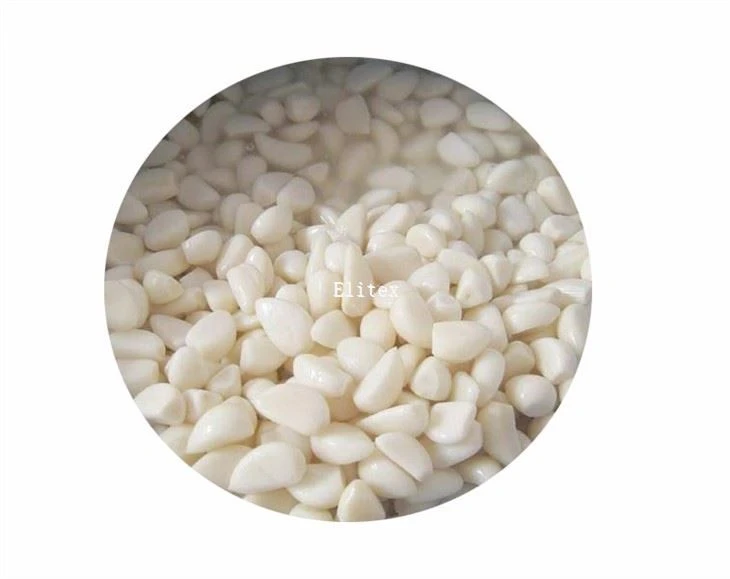 Preserved Garlic In Brine In Drums